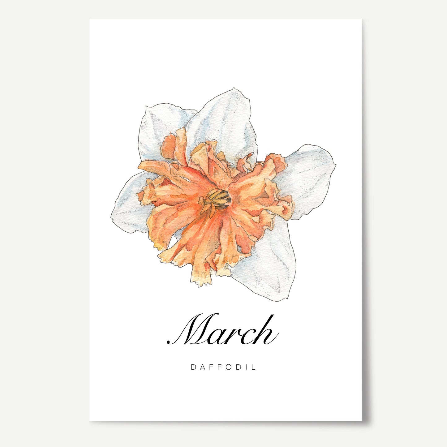March Birth Month Flower Print
