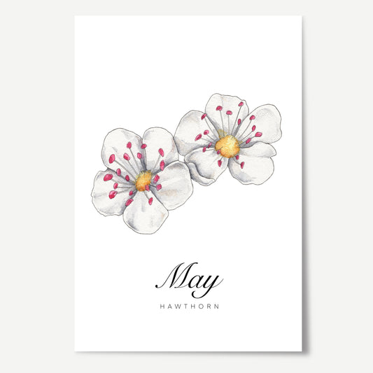 May Birth Month Flower Print