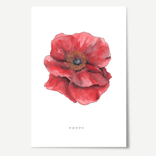 Poppy Flower Print