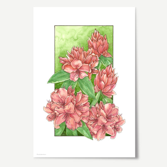 Rhododendron Print