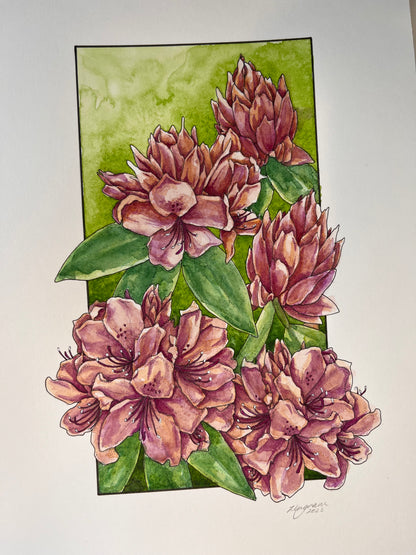 Rhododendron Original