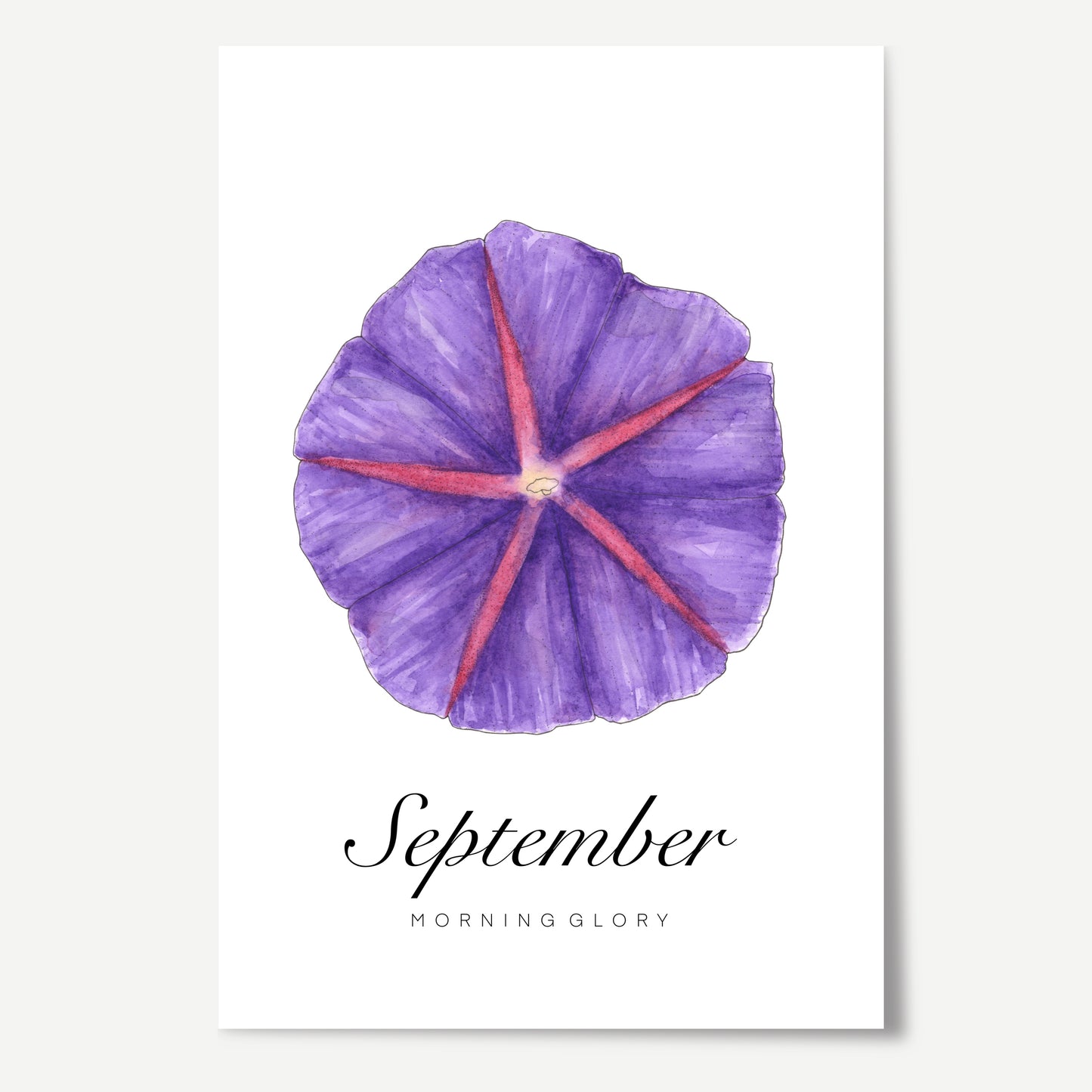 September Birth Month Flower Print