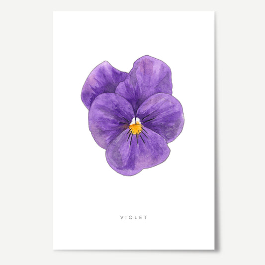 Violet Flower Print