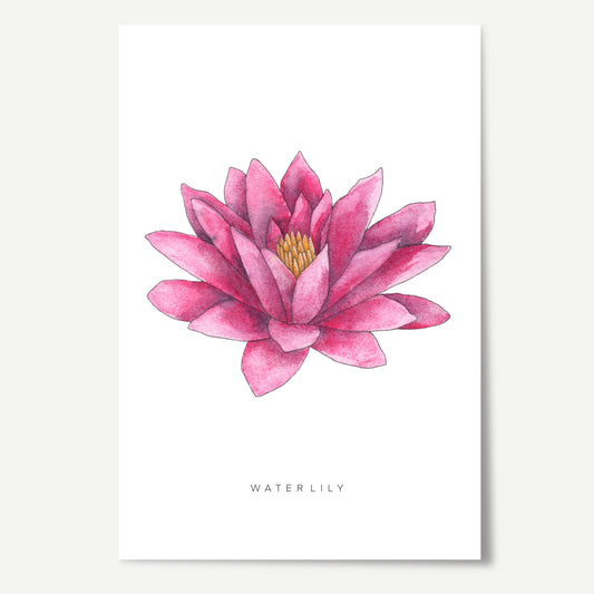 Water Lily Flower Print