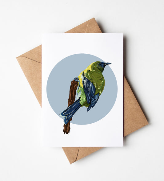 Korimako in Blue Greeting Card