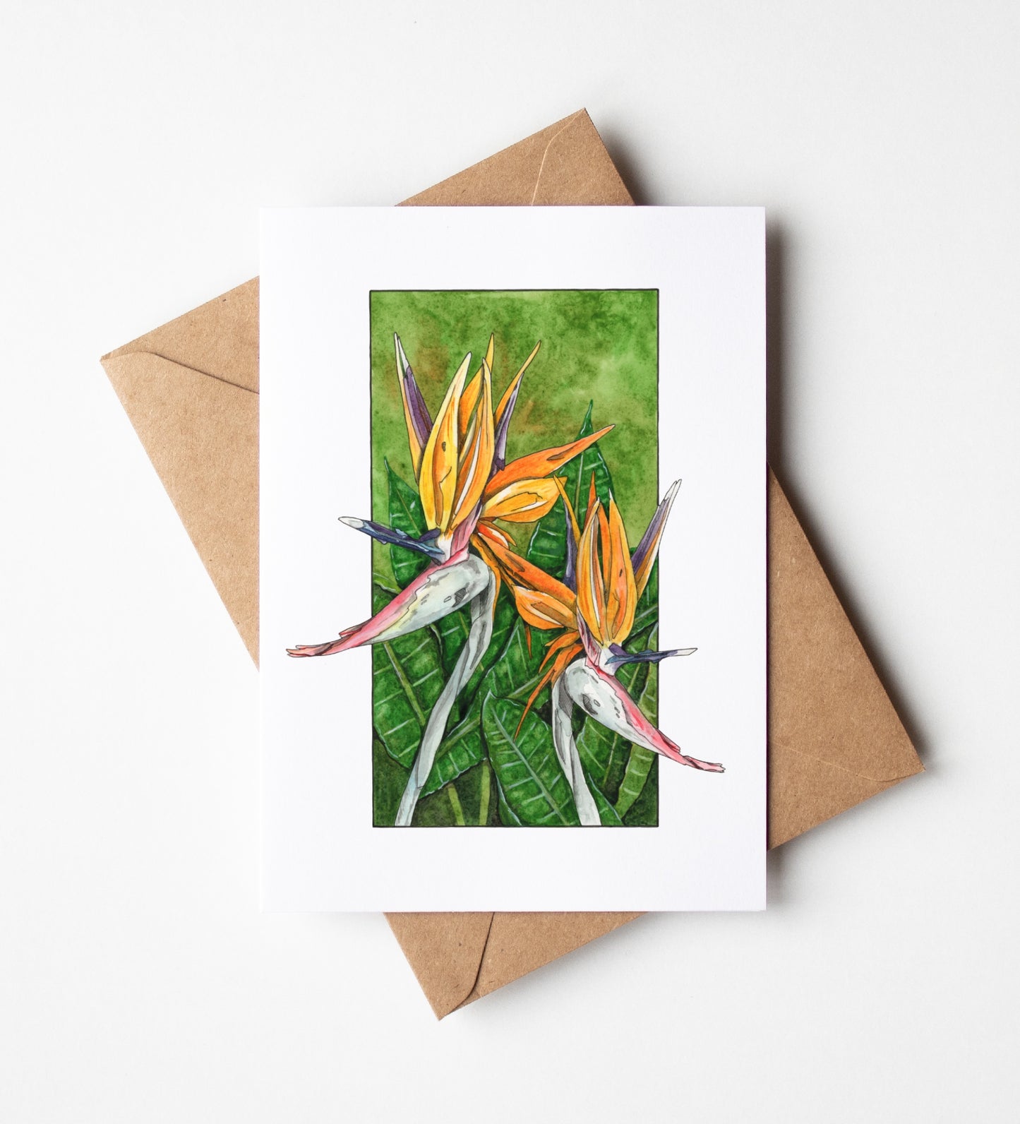 Bird of Paradise Greeting Card