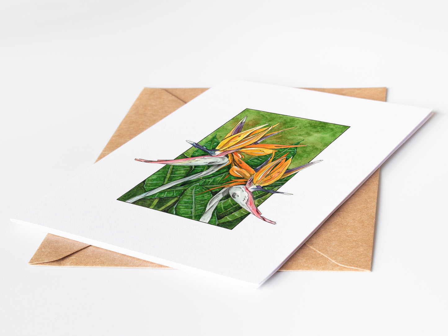 Bird of Paradise Greeting Card