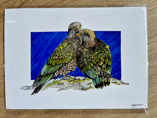 CLEARANCE - A5 Native Pair Kea