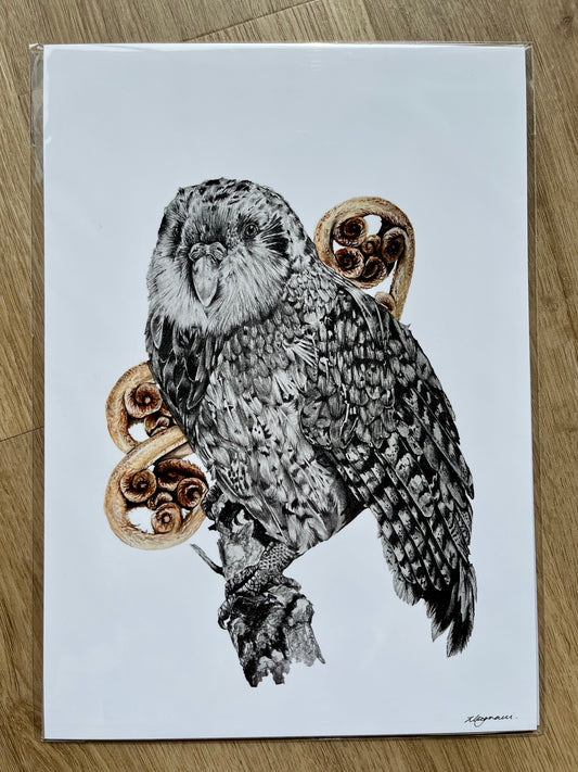 CLEARANCE - A4 Kākāpō & Fern