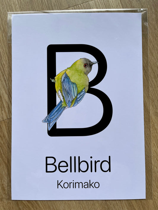 CLEARANCE - A4 Letter B