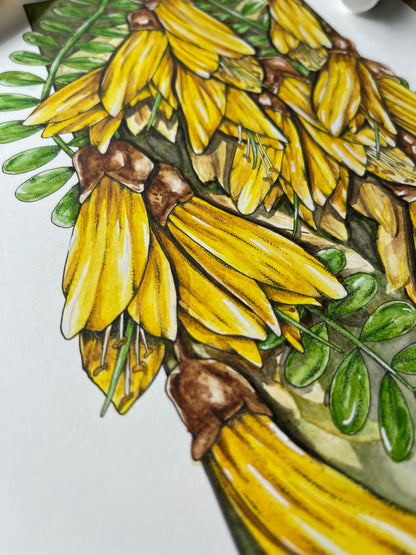 Kōwhai Original