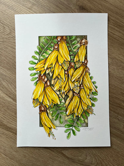 Kōwhai Original
