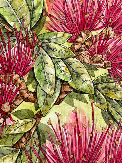 Pōhutukawa Original
