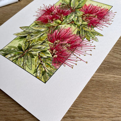 Pōhutukawa Original