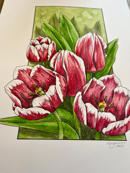 Tulips Original