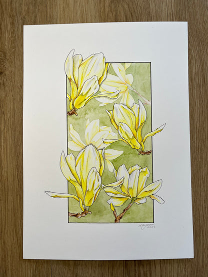 Magnolia Original
