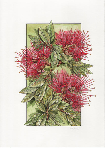 Pōhutukawa Original