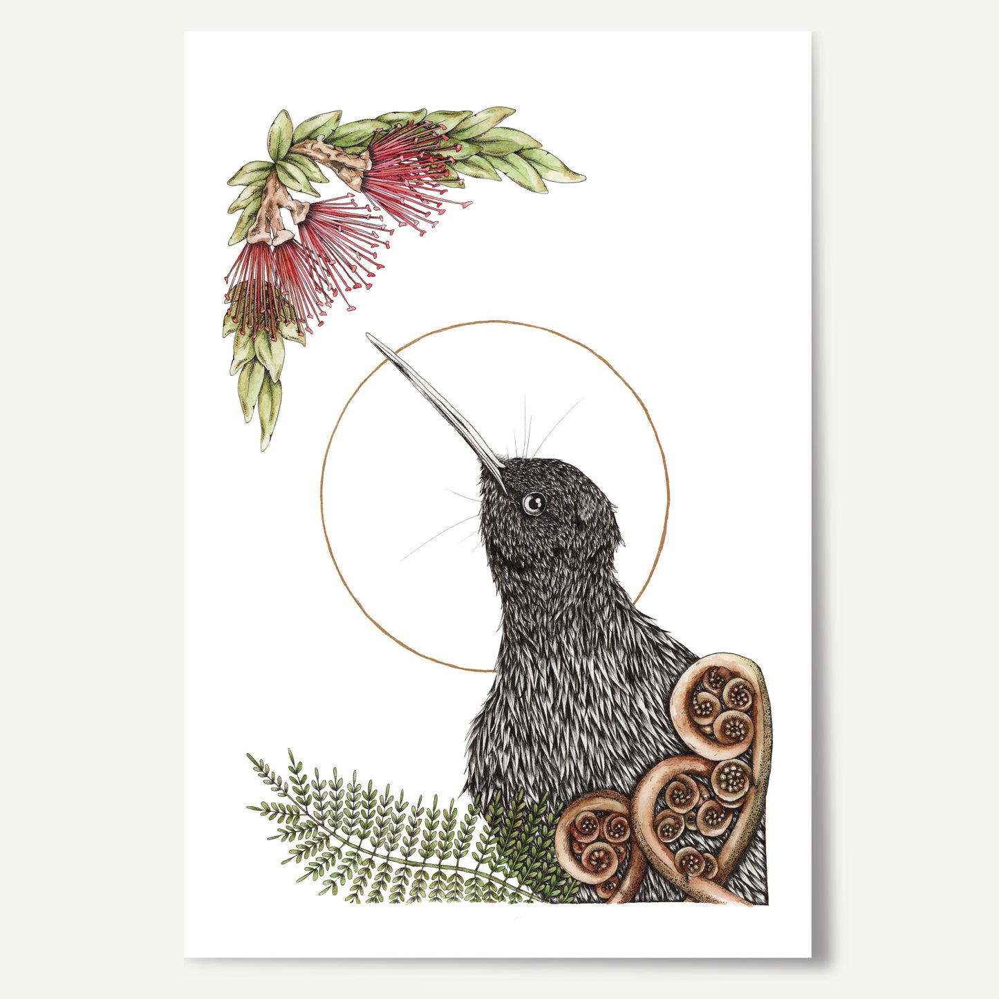 Christmas Kiwi Print