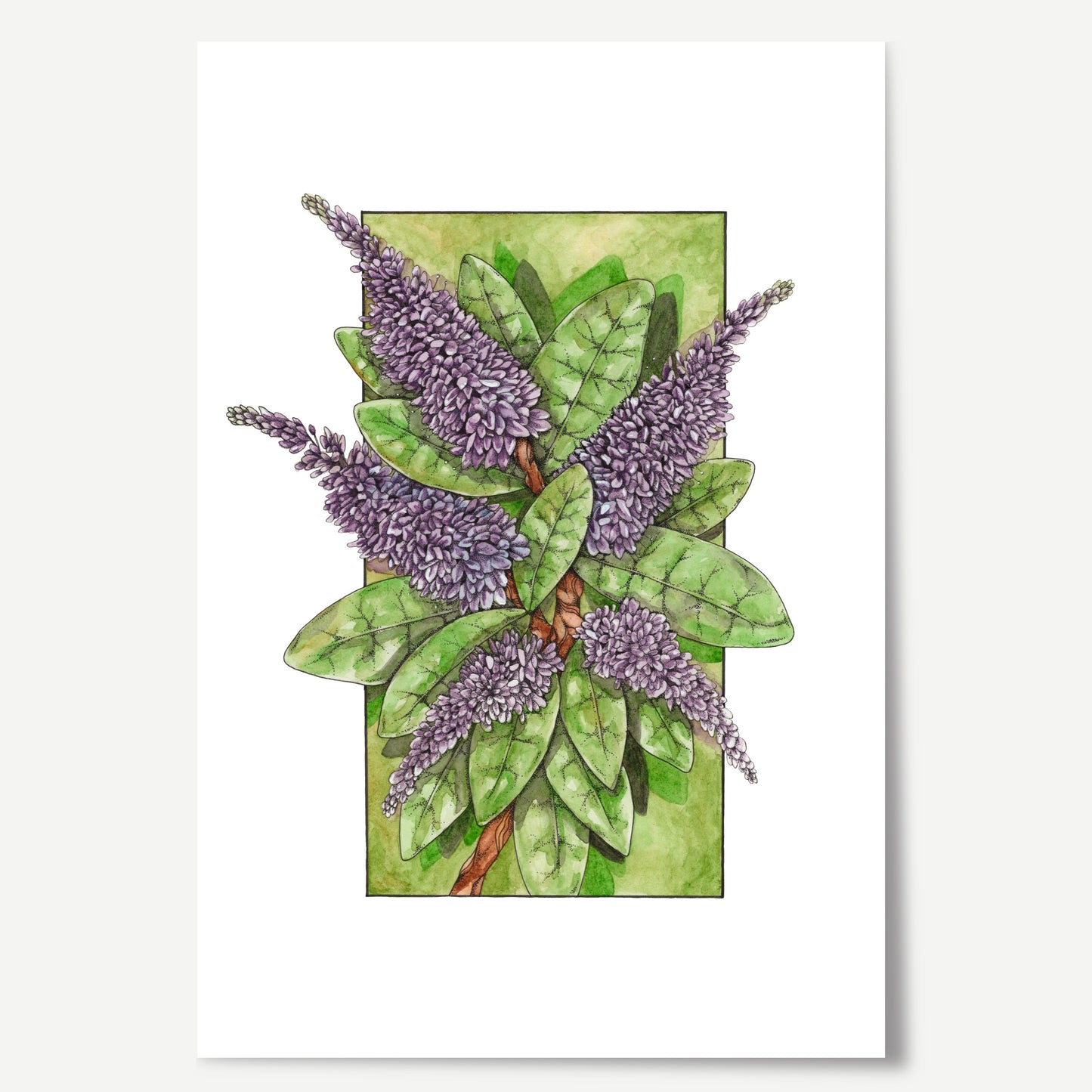 Hebe Print