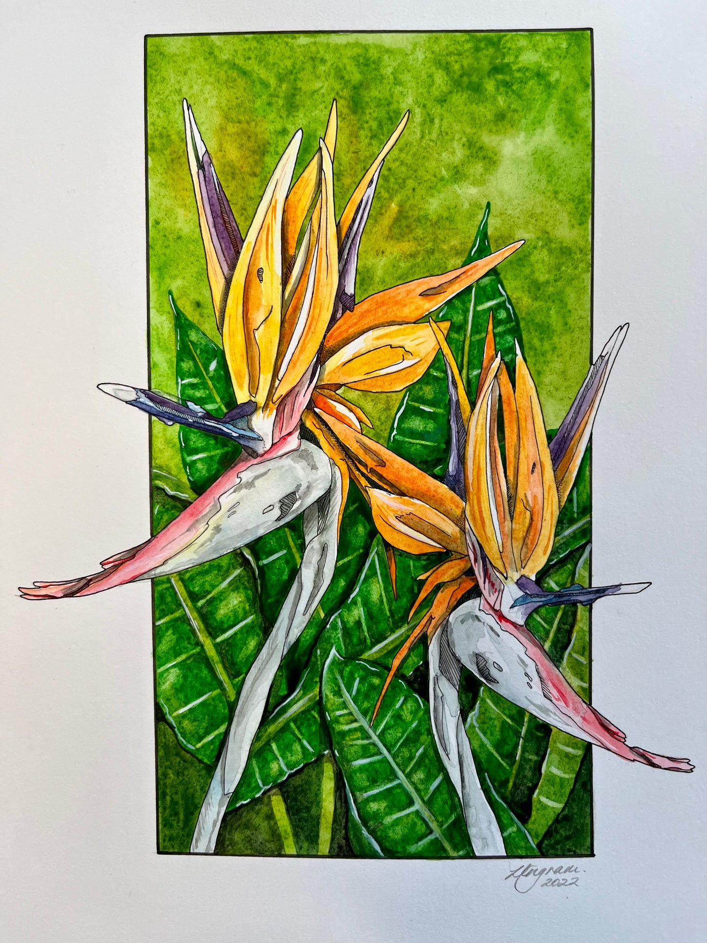Bird of Paradise Original