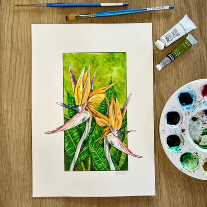 Bird of Paradise Original