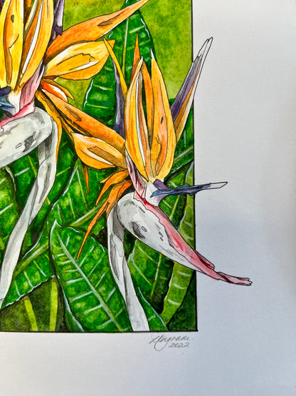 Bird of Paradise Original