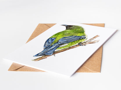 Korimako Greeting Card