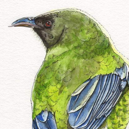 Korimako (Bellbird) Original