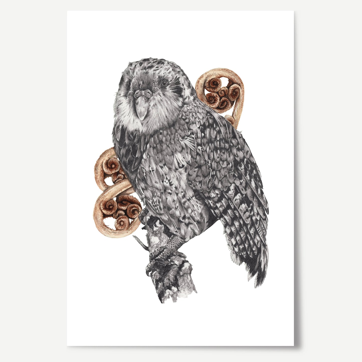 Kākāpō & Fern Print